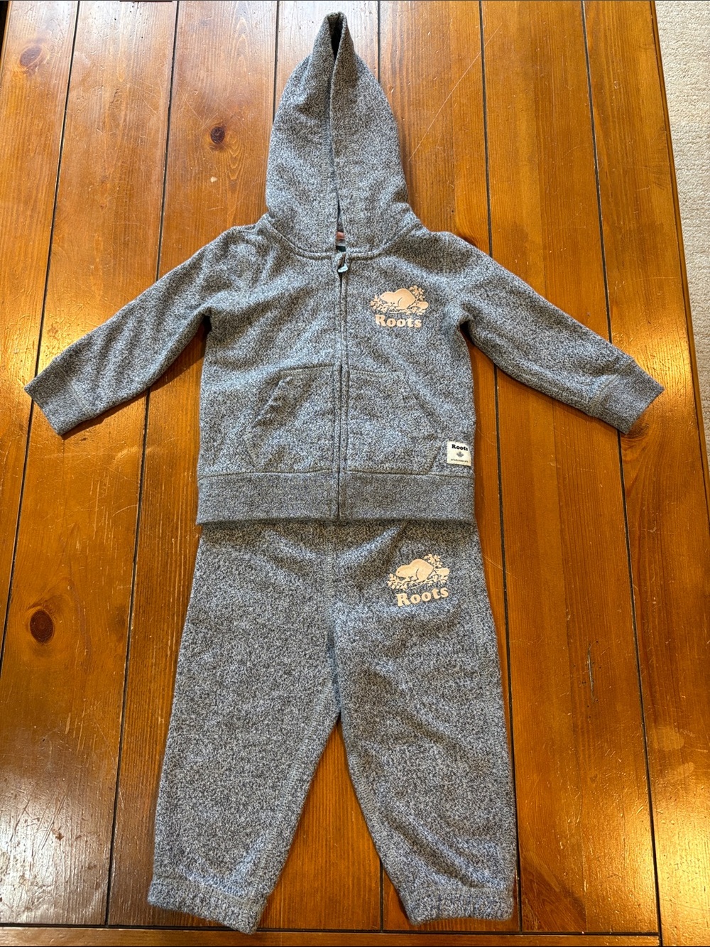 Roots Baby Grey Hooded Sweatpants Set Size L (12-18 Months) EUC